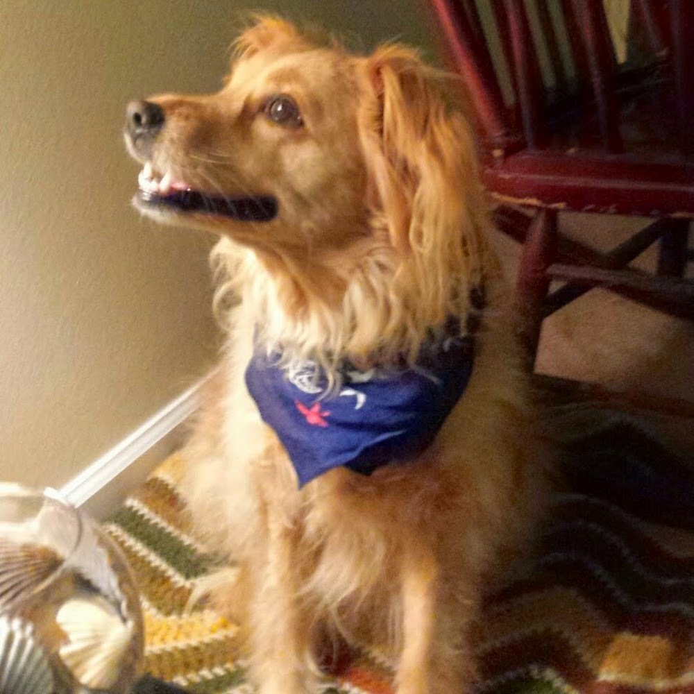 Meet your Posher, Roxanne